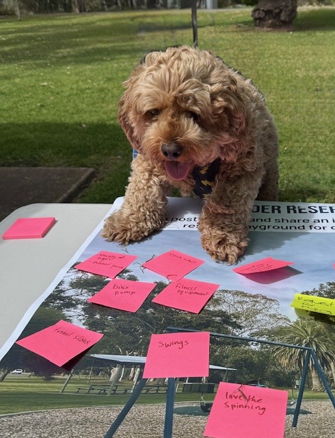 dog involved in consultation