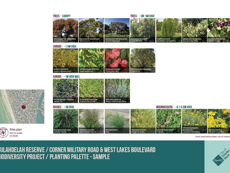 Planting Palette Sample - Updated