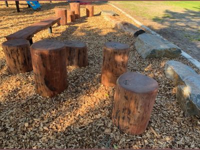 Stepping logs 