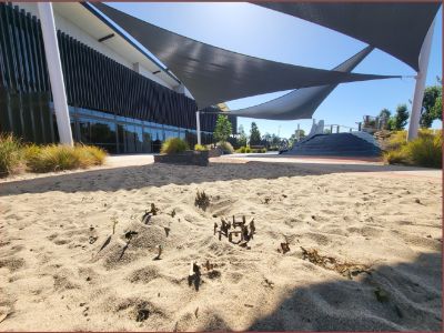 Sand Play