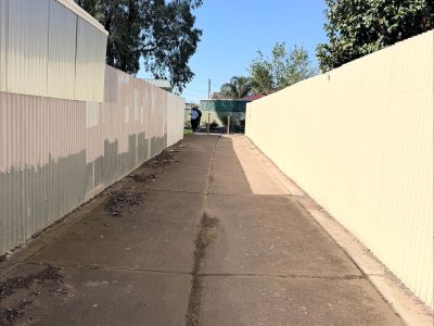 Condon Reserve path