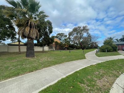 New Path 